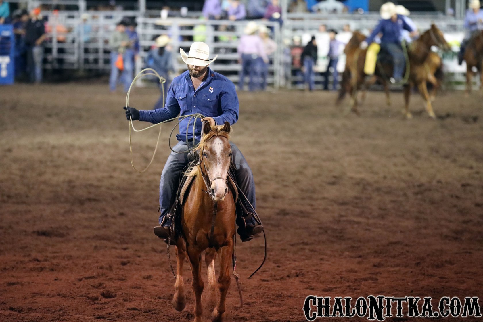 53179282_10156557512031028_1517330775089872896_n