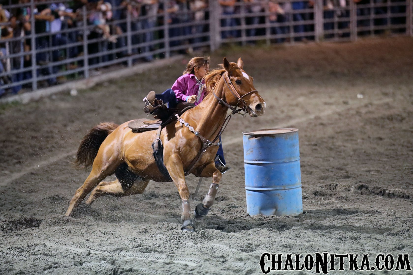 53336696_10156557512656028_1932822312122318848_n