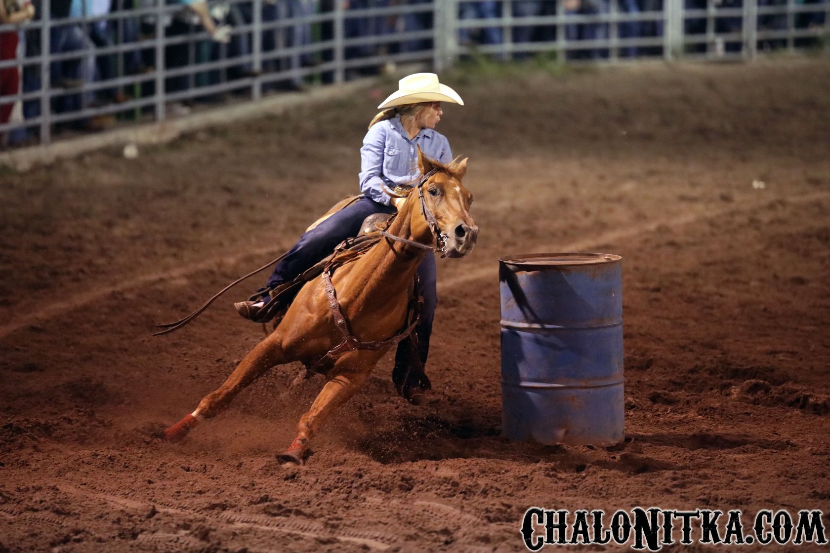 53751032_10156557510931028_4524153579912560640_n