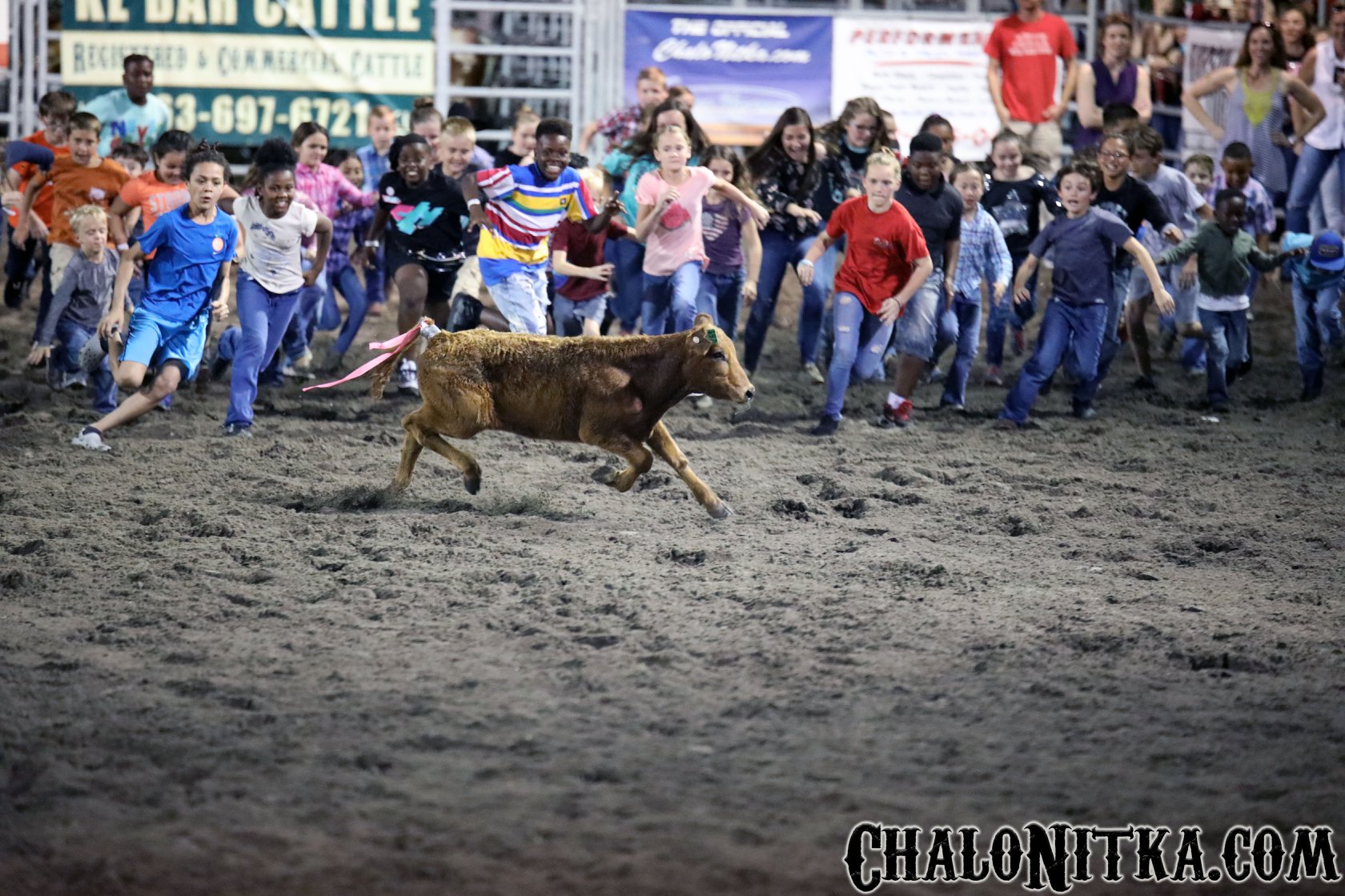 53843136_10156557509896028_6302957432792416256_n