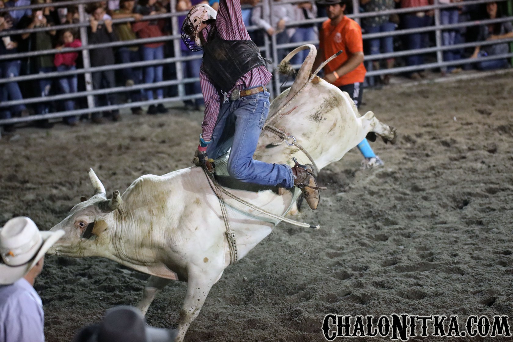 54277989_10156557512851028_6500016163035021312_n