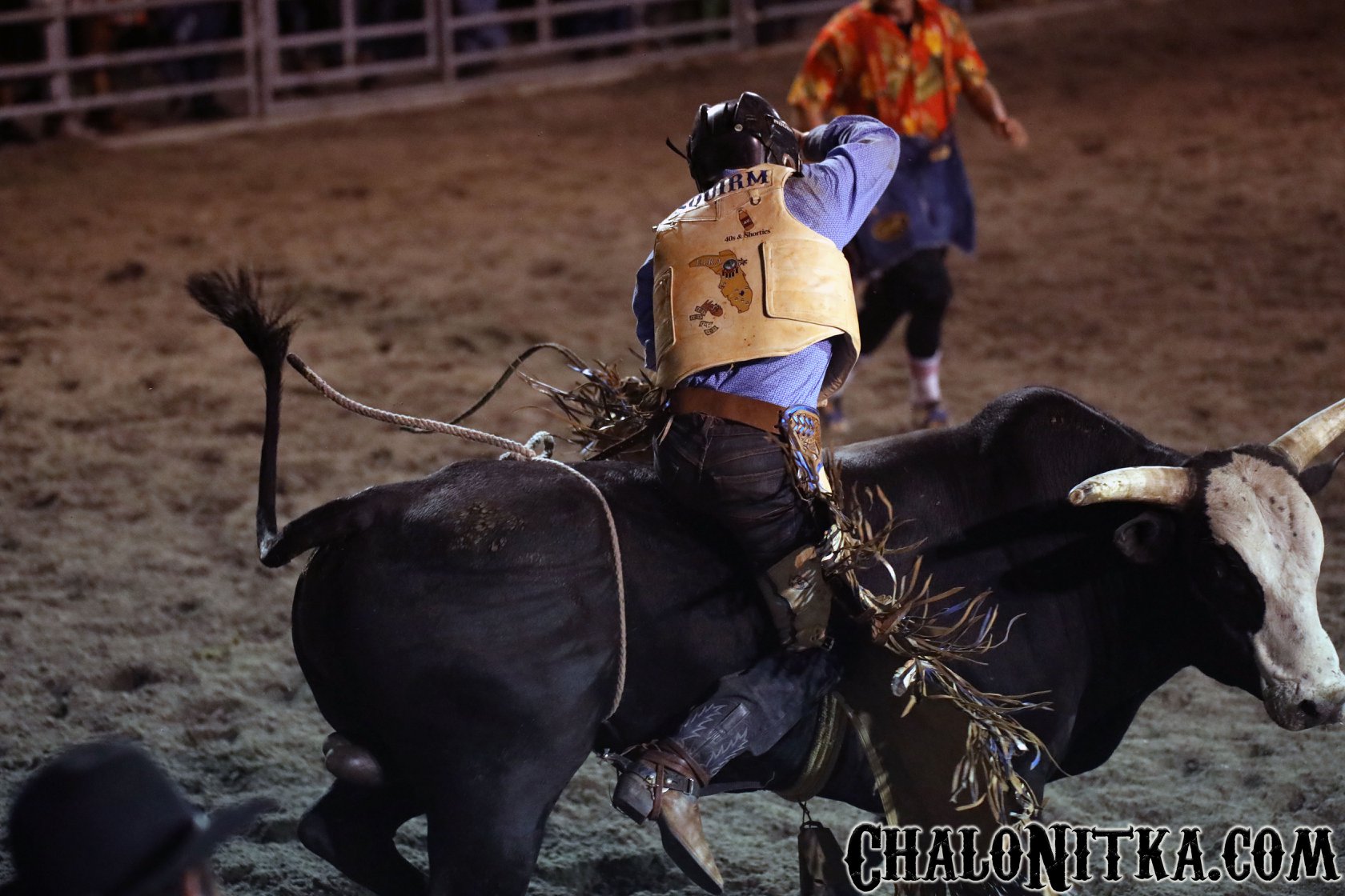 54378992_10156557513341028_6838318178456567808_n