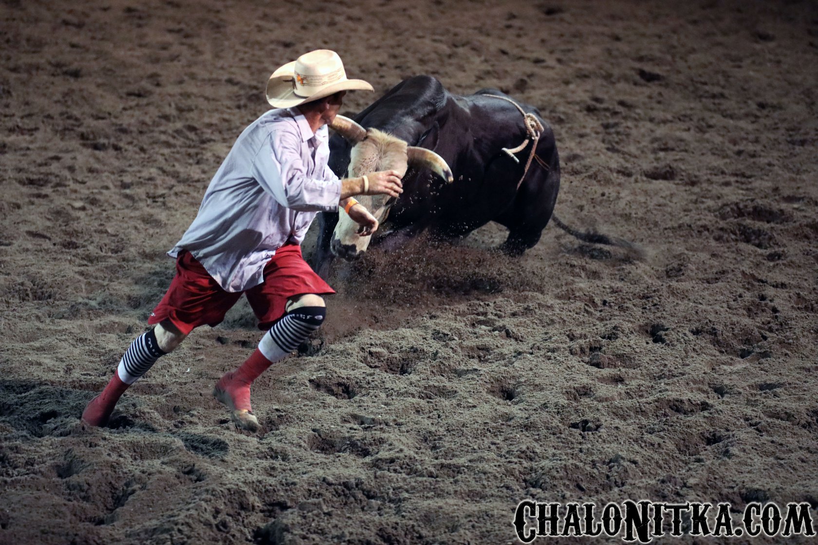 54522098_10156557514046028_8431854257631657984_n